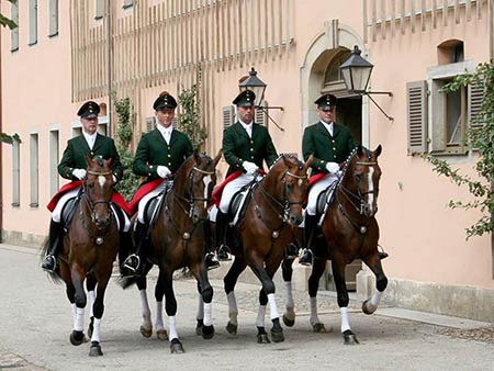 Gestüt und Hengstparade